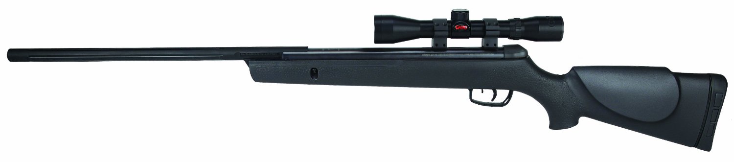 Gamo Big Cat review